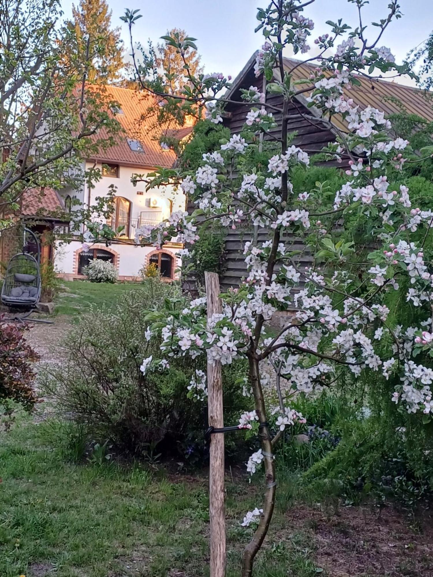 Gosciniec Twoje Mazury Nad Jeziorem Sniardwy Tuz Obok Plazy Nowe Guty Exterior foto